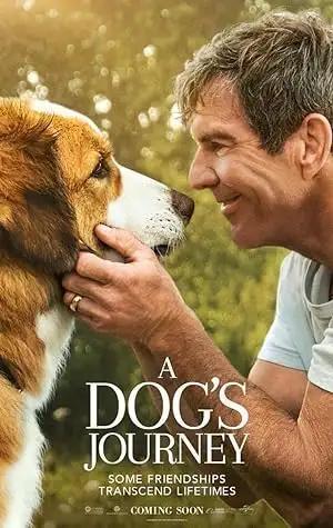 فيلم A Dog's Journey 2019 مترجم - باهي فيلم